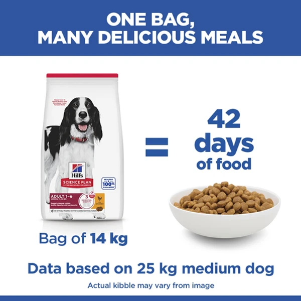 Hills Science Plan Medium adult dog food with chicken