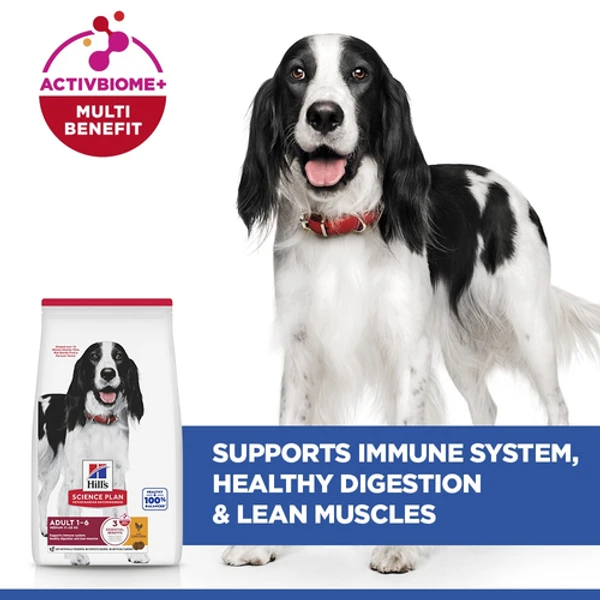 Hills Science Plan Medium adult dog food with chicken