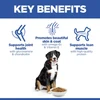 Hills Science Plan Large breed adult dog food with chicken