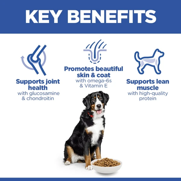 Hills Science Plan Large breed adult dog food with chicken