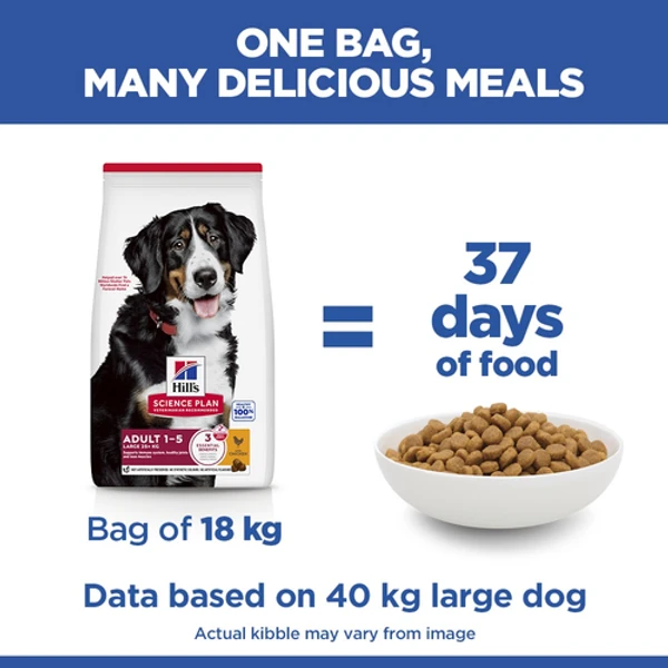 Hills Science Plan Large breed adult dog food with chicken
