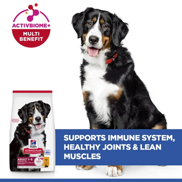 Hills Science Plan Large breed adult dog food with chicken