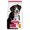 Hills Science Plan Large breed adult dog food with chicken
