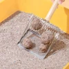 Durable Stainless Steel Cat Litter Scoop with Wooden Hand 27x13 cm