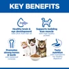 Hills Science Plan kitten food with chicken