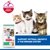 Hills Science Plan kitten food with chicken
