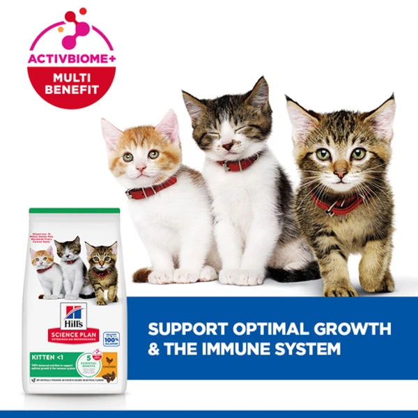 Hills Science Plan kitten food with chicken
