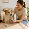Professional Electric Pet Hair Trimmer with LED Light – Low Noise, USB Charging, Portable, Safe and Easy To Use for Cats & Dogs