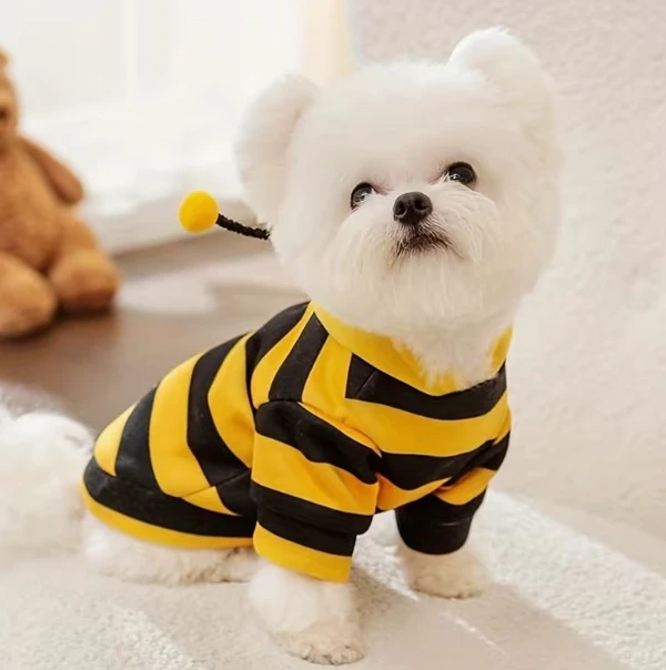 Bee-Themed Pet Sweater for Small Dogs & Cats – Cozy All-Season Costume