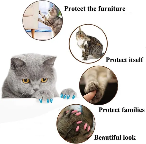 20 Pcs Colorful Silicone Cat Nail Caps with Adhesive Glue – Soft Covers for Claws Care, Anti-scratch and Beautiful Look
