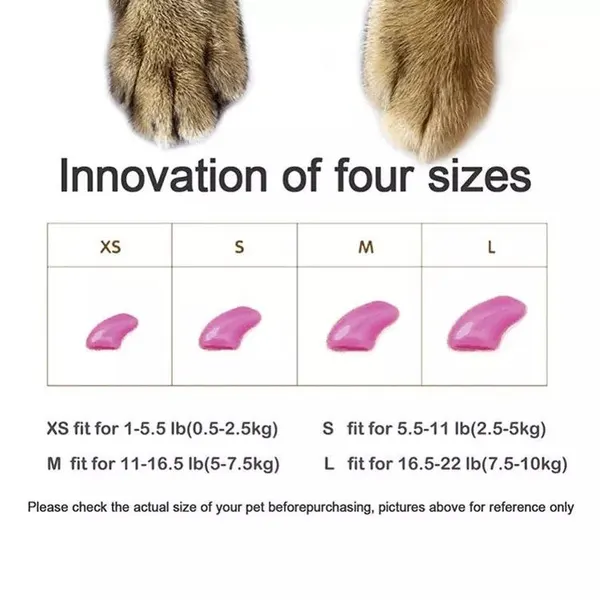 20 Pcs Colorful Silicone Cat Nail Caps with Adhesive Glue – Soft Covers for Claws Care, Anti-scratch and Beautiful Look