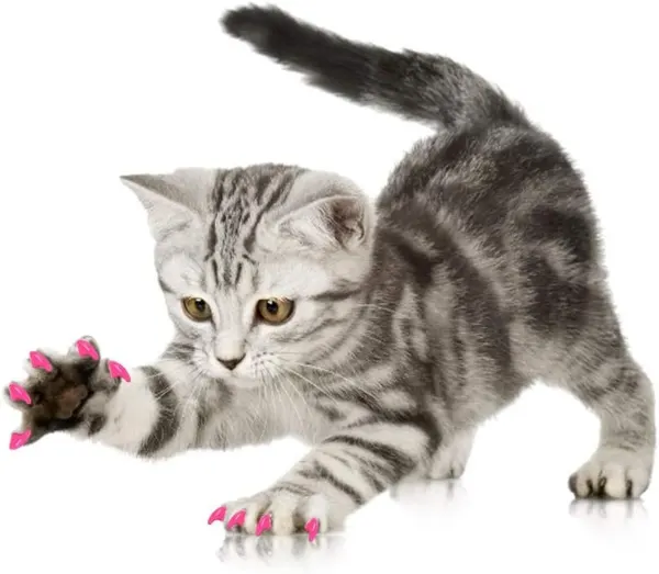 20 Pcs Colorful Silicone Cat Nail Caps with Adhesive Glue – Soft Covers for Claws Care, Anti-scratch and Beautiful Look