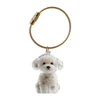 Cute Animal-Shaped Transparent PVC Pet Hair Keepsake Key Chain with Plastic Tweezer – Store and Display Pet fur to Create Sweet Personalized Memory