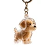 Cute Animal-Shaped Transparent PVC Pet Hair Keepsake Key Chain with Plastic Tweezer – Store and Display Pet fur to Create Sweet Personalized Memory