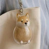 Cute Animal-Shaped Transparent PVC Pet Hair Keepsake Key Chain with Plastic Tweezer – Store and Display Pet fur to Create Sweet Personalized Memory