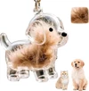 Cute Animal-Shaped Transparent PVC Pet Hair Keepsake Key Chain with Plastic Tweezer – Store and Display Pet fur to Create Sweet Personalized Memory