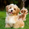 Cute Animal-Shaped Transparent PVC Pet Hair Keepsake Key Chain with Plastic Tweezer – Store and Display Pet fur to Create Sweet Personalized Memory