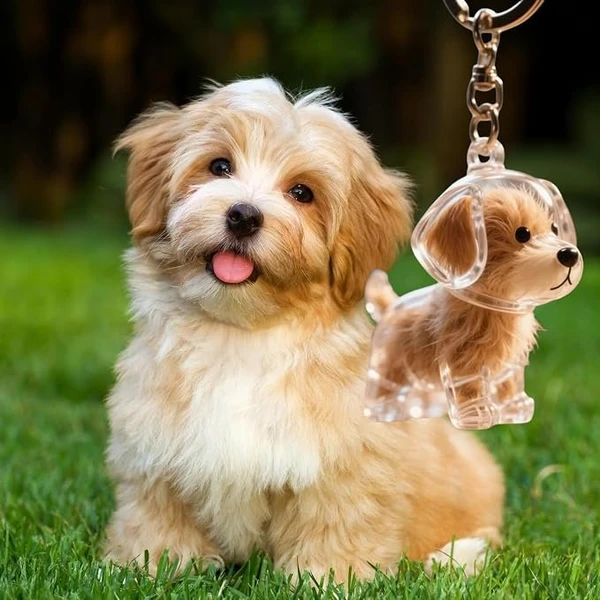 Cute Animal-Shaped Transparent PVC Pet Hair Keepsake Key Chain with Plastic Tweezer – Store and Display Pet fur to Create Sweet Personalized Memory