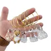 Cute Animal-Shaped Transparent PVC Pet Hair Keepsake Key Chain with Plastic Tweezer – Store and Display Pet fur to Create Sweet Personalized Memory