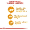 (2+1 Free) Buy 2 Get 3 Royal Canin Hair & Skin Intense Beauty Care Adult Cat Wet Food in Gravy 85g Pouch