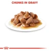 (2+1 Free) Buy 2 Get 3 Royal Canin Hair & Skin Intense Beauty Care Adult Cat Wet Food in Gravy 85g Pouch