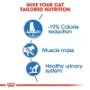 (2+1 Free) Buy 2 Get 3 Royal canin Light Weight Care GRAVY 85g Pouch