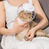 Transparent ABS Cat Helmet with Adjustable Velcro Neck Strap – Breathable Lightweight Anti Bite Head Muzzle for Postoperative Protection, Grooming, Shaving and Bathing (18cm Diameter)