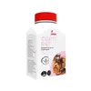 LIVISTO COATTY PET Support for Skin and Coat Health with Garlic, B Vitamins & Minerals, Savoury Flavour, 60 Tabs  for Dogs