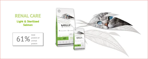Molly Renal Care Light & Sterilised Super Premium Adult Cat Dry Food with Salmon 2Kg