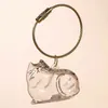 Transparent PVC Pet Hair Memorial Key Chain – Keepsake Capsule Designed to Store pet Fur