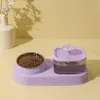 2-in-1 Pet Feeding Station – Automatic Flower Pet Water Fountain with Removable Stainless Steel Food Bowl for Cats & Small Dogs