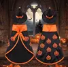 Halloween Costume Set for Cats & Small Dogs – Pumpkin Cape with Witch Hat & Bow
