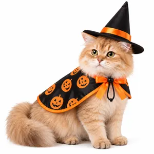 Halloween Costume Set for Cats & Small Dogs – Pumpkin Cape with Witch Hat & Bow