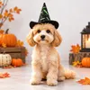 Halloween Hat for Cats & Small Dogs – Black & Green Bat Print Pet Costume Hat