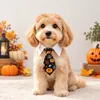 Halloween Pet Tie for Cats & Dogs – Black Pumpkin & Spider Web Costume Neck Tie