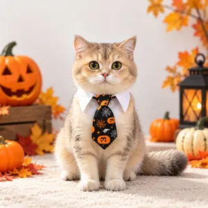Halloween Pet Tie for Cats & Dogs – Black Pumpkin & Spider Web Costume Neck Tie