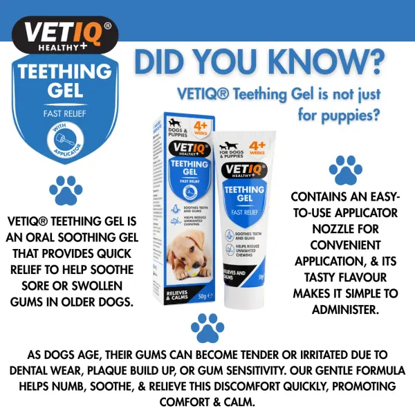 VETIQ Teething Gel 50G