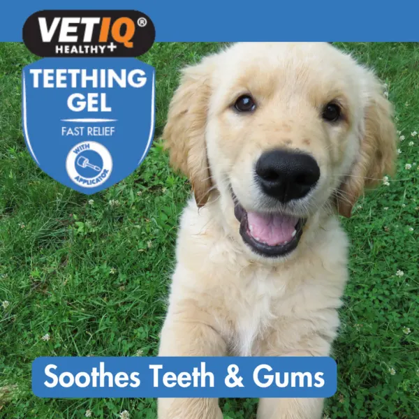 VETIQ Teething Gel 50G
