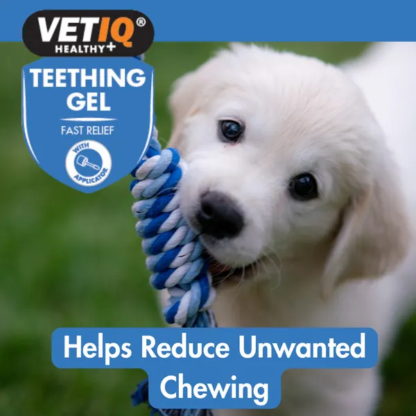 VETIQ Teething Gel 50G