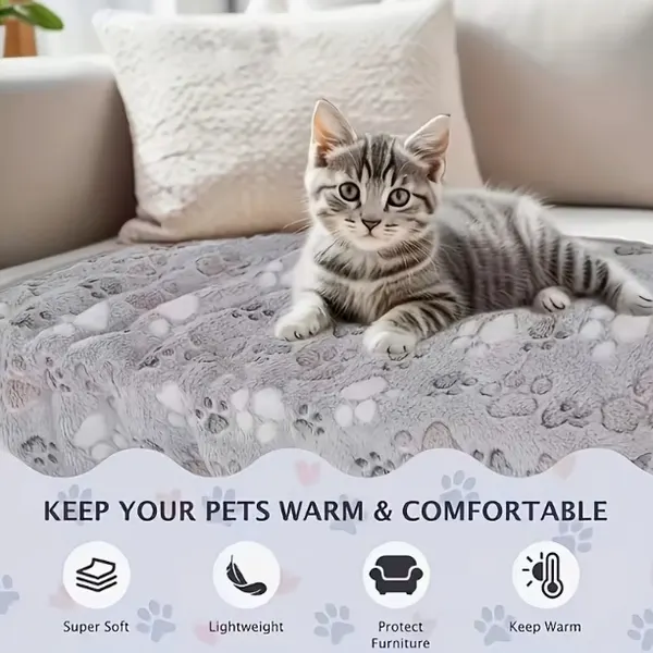 Grey Flannel Soft Plush Paw Print Heated Small Dog & Cat Throw Blanket & Bed Warmer, 60 x 40-cm