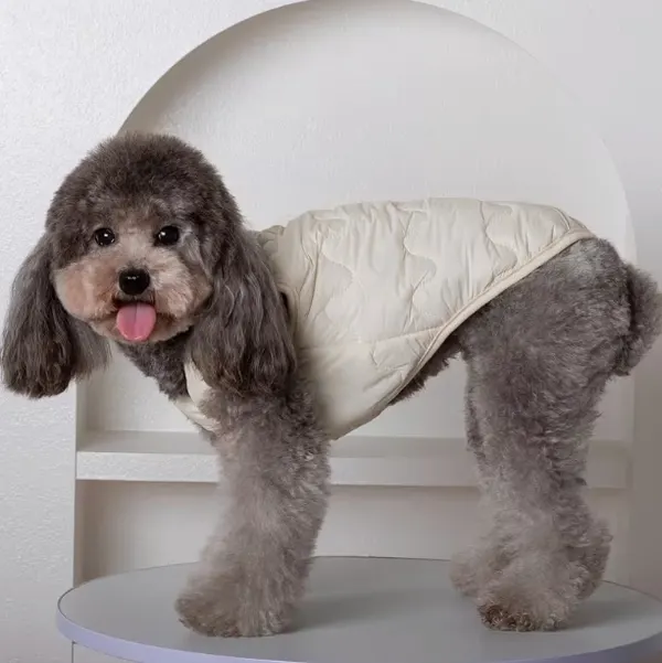 Warm Windproof Pet Vest for Dogs & Cats