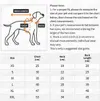 Paw Print Dog Fleece Sweatshirt – Warm Winter Pullover with Leash Ring for Small Dogs & Cats