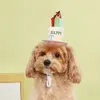 Pet Birthday Hat with Cake & Candles – Adjustable Birthday Party Hat for Dogs & Cats