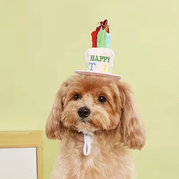 Pet Birthday Hat with Cake & Candles – Adjustable Birthday Party Hat for Dogs & Cats