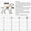 Mama’s Boy Dog & Cat Hoodie – Cute Pet Sweatshirt for Small Dogs & Cats