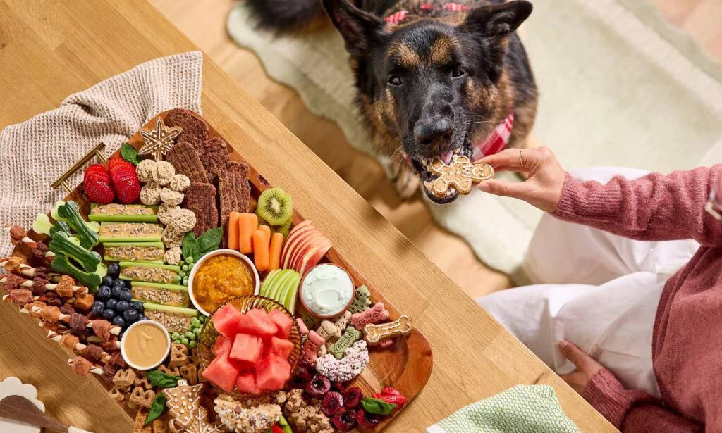 How To Make a Festive Barkuterie Board for Your Pup